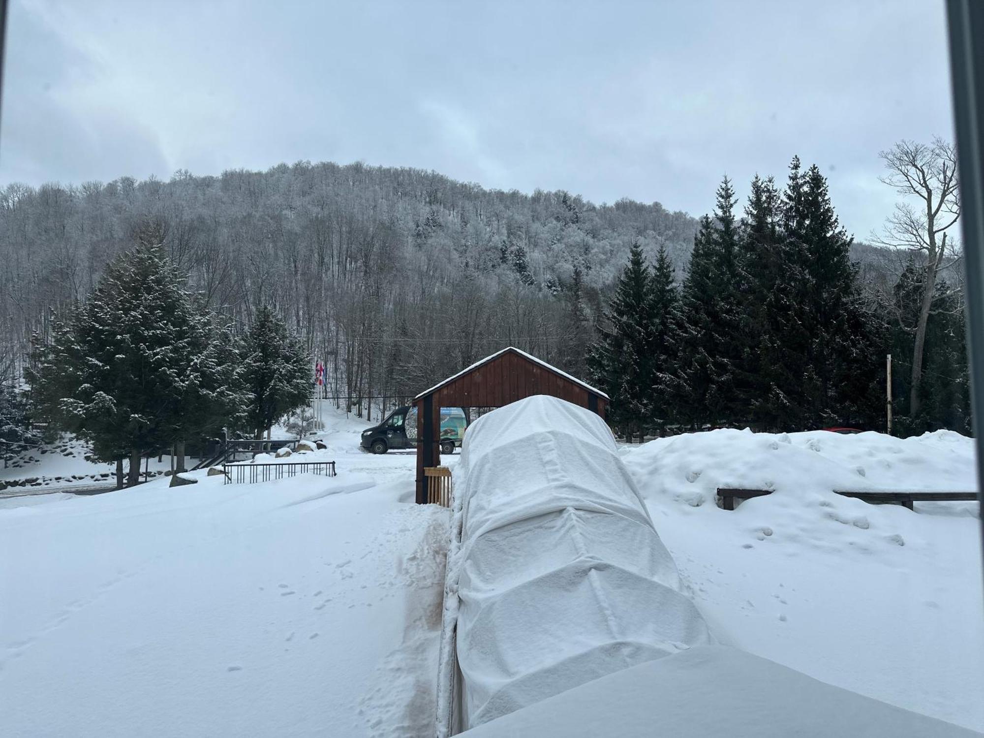 Auberge Morritt Монт-Тремблант Стая снимка